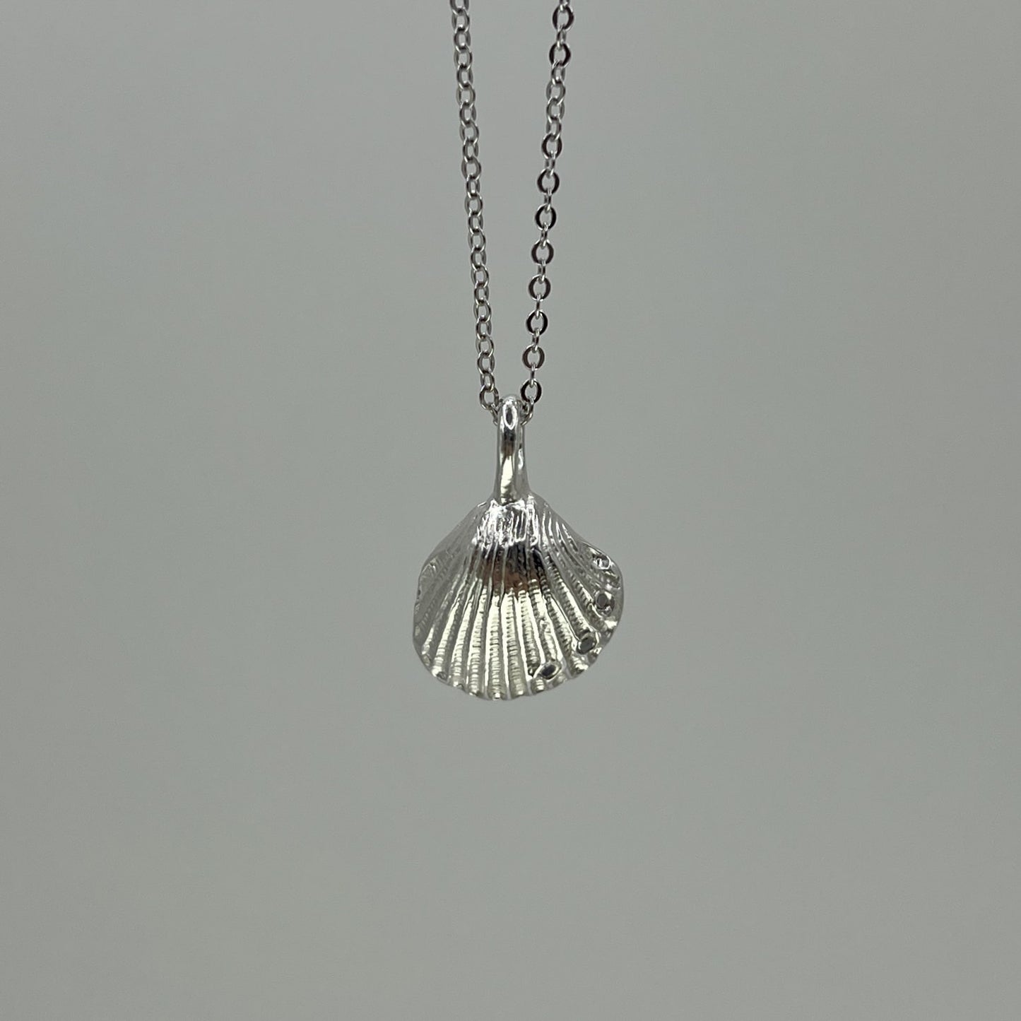 Cockle