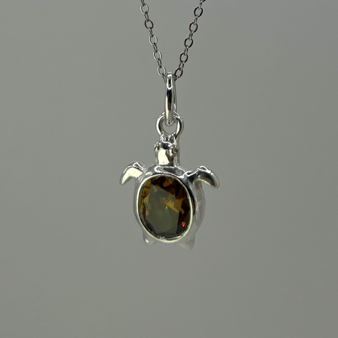 Amber Turtle
