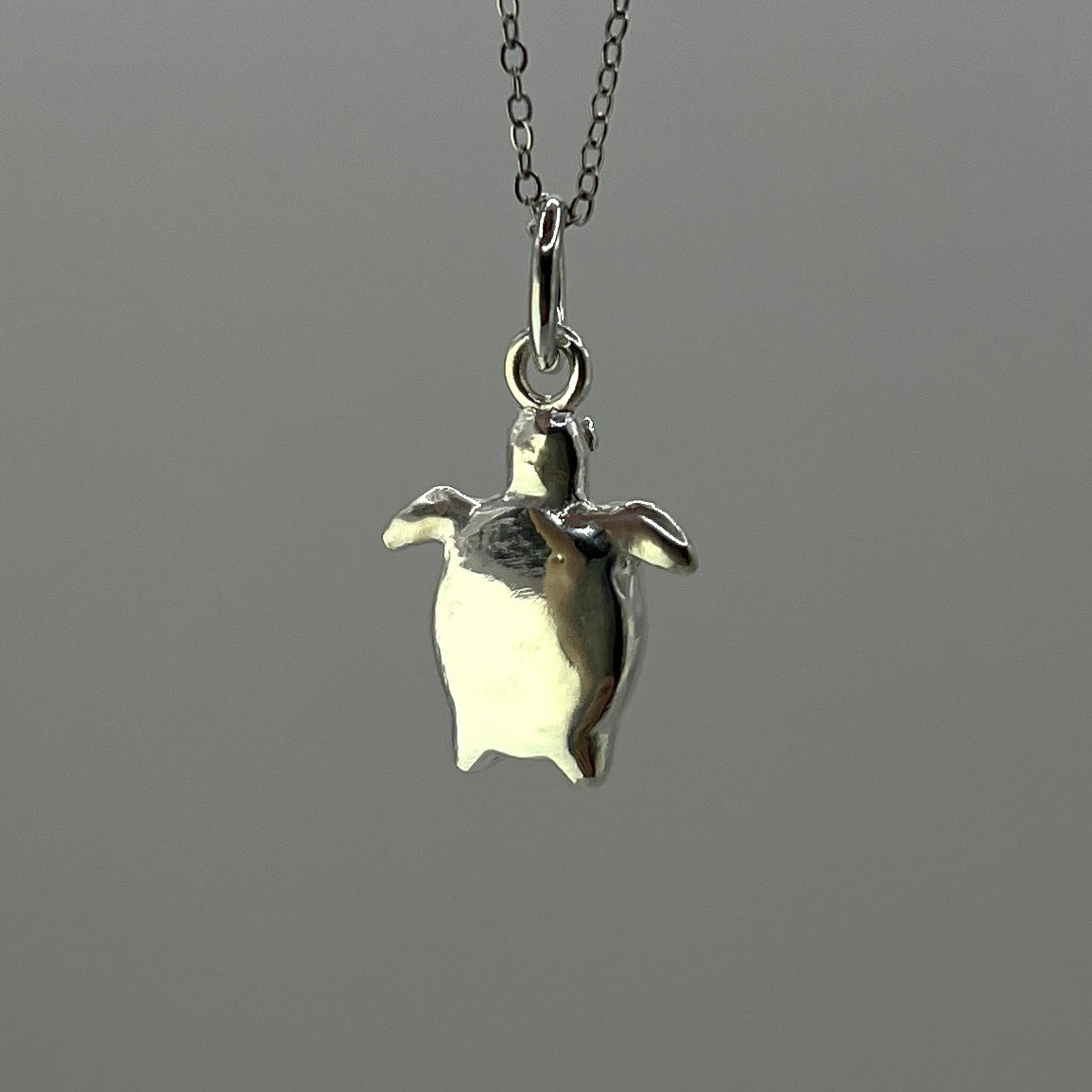 Pale Green Turtle