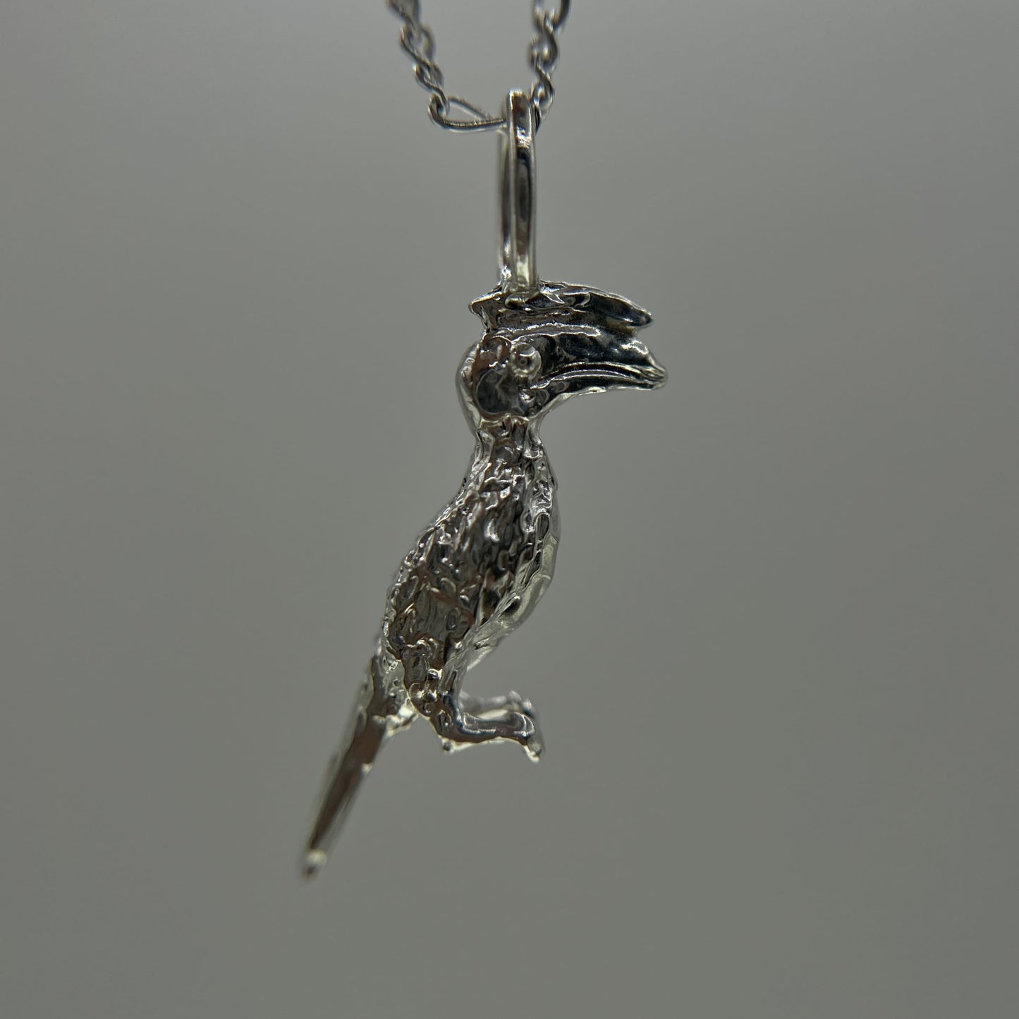 Hornbill