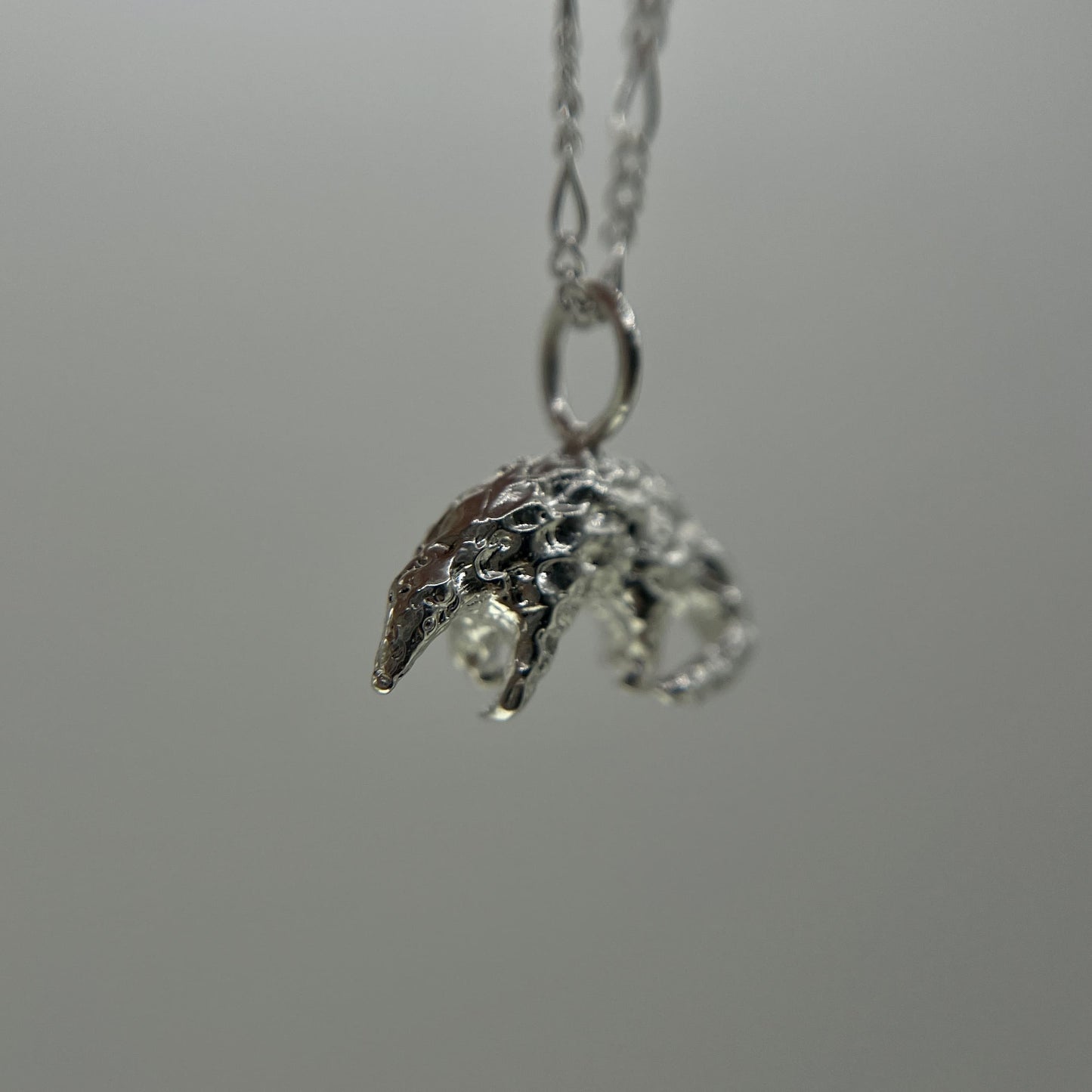 Pangolin