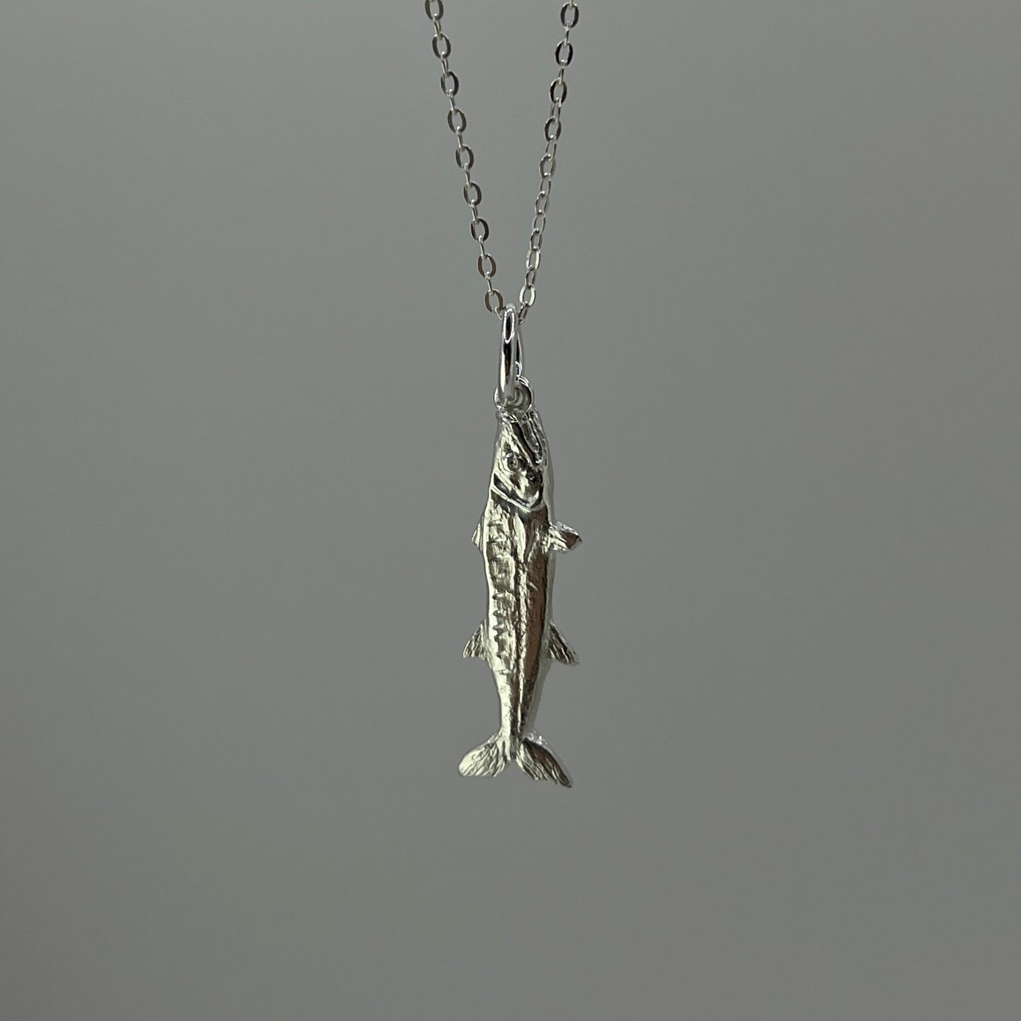 Barracuda for Glenda