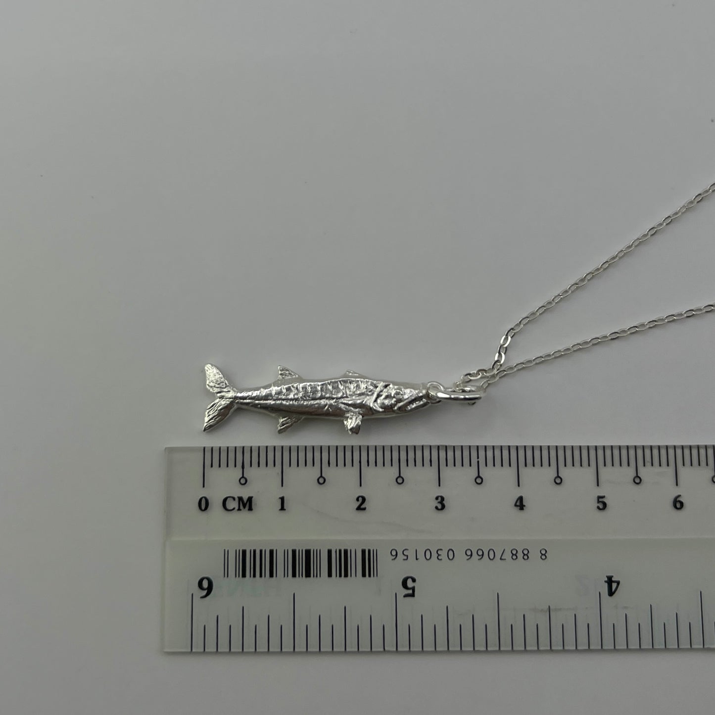 Barracuda for Glenda