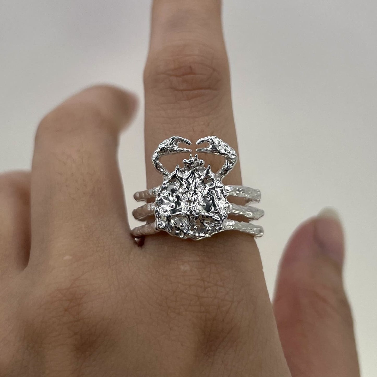 Crab for Priscilla