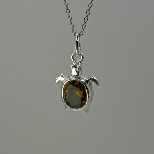 Amber Turtle