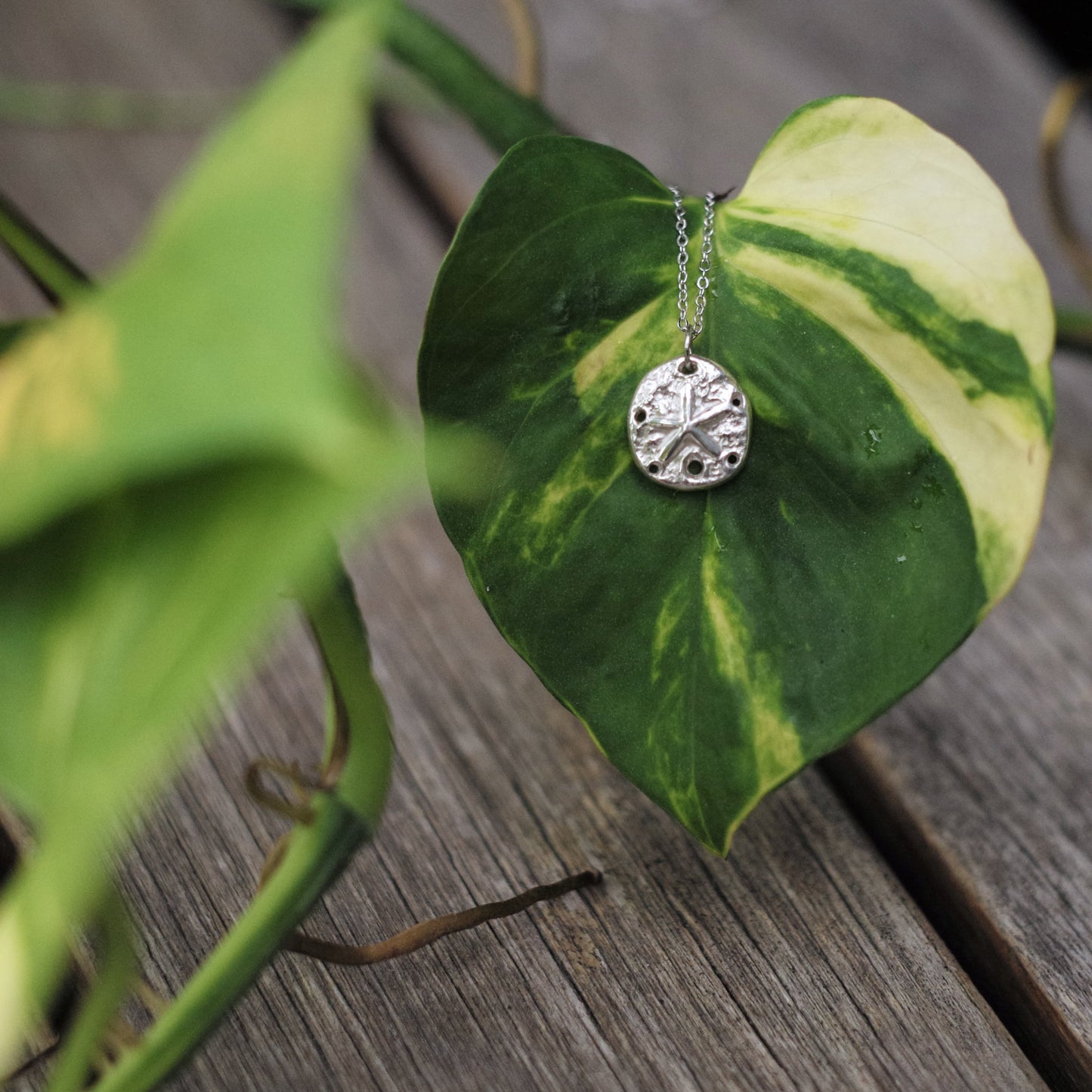 Sand Dollar Necklace