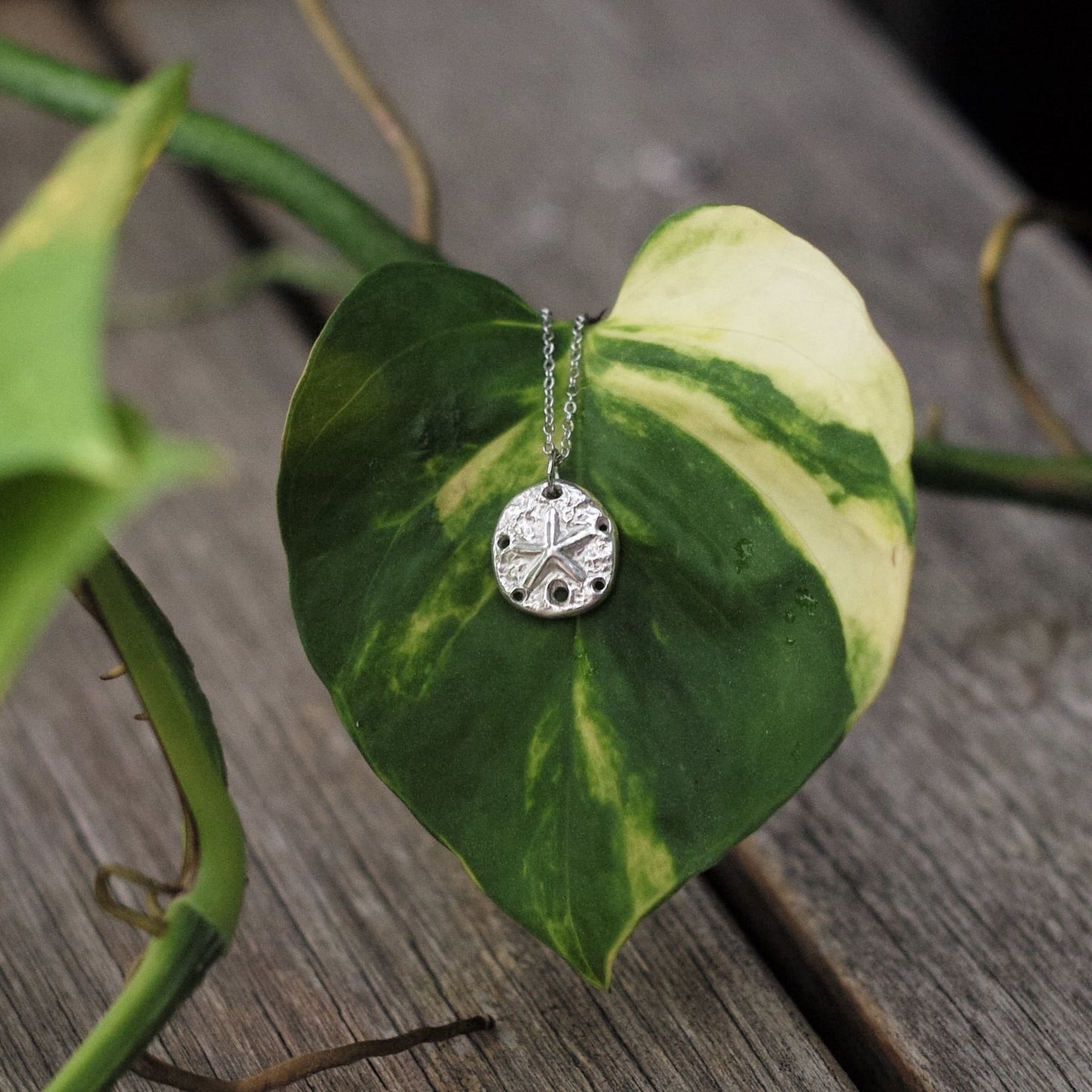 Sand Dollar Necklace